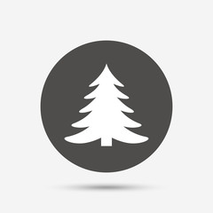 Christmas tree sign icon. Holidays button.