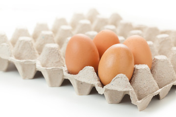 Eggs on egg rag. Egg cartons packing. on white background
