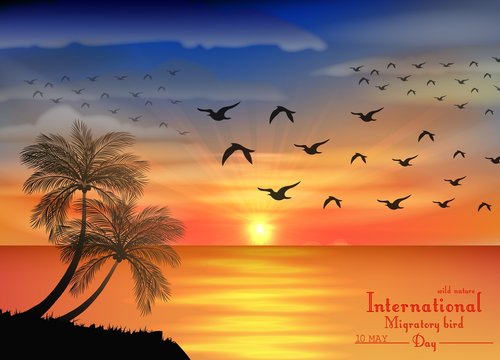 Photo of sunset on ocean for birds migratory day 