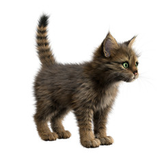 3D rendering tabby kitten standing on a white background