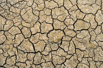Dry cracked earth background