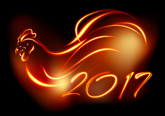 Rooster2017_2