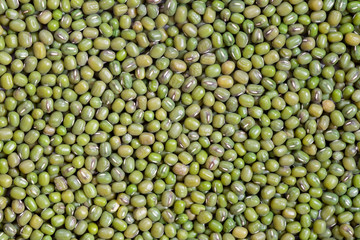 Mung bean or green gram bean texture background. Mung bean alter