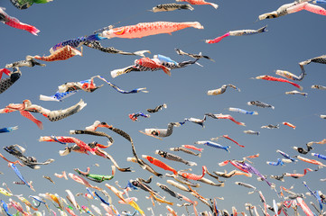 Koinobori-Carp streamer-9