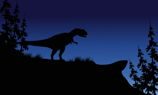 At night silhouette of Allosaurus