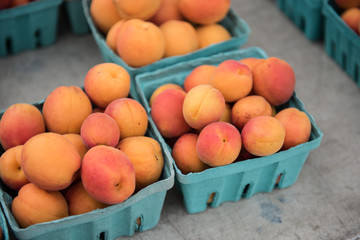 tasty apricots