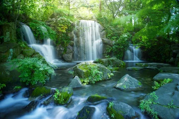 Tuinposter Tokyo waterval © blew_f