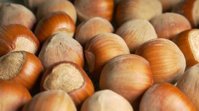 Hazelnut filbert close-up 4K UHD 3840X2160 footage - Hazelnut filberts in 4K 2160p UHD natural video background.mov