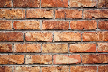 Fototapeta premium brick wall texture