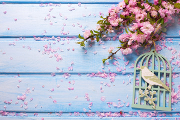 Background  with elegant  pink flowers on blue wooden planks. Flat lay. Selective focus. Place for text.