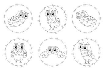 Set owl vector birds isolated on white background.