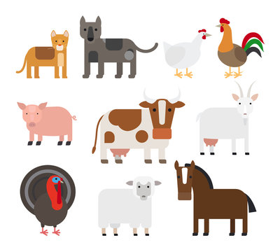 Domestic animal flat icons. Colored images of cow, horse, cat. dog, sheep and birds. Vector illustration