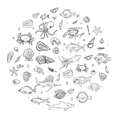 Hand drawn doodle Seafood icons set Vector illustration seafood symbols collection Cartoon fish Crab Seafood platter Lobster Oyster Shrimp Shellfish Shrimp on white background for your menu or design