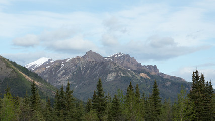 Fototapeta premium Alaska's Mountains and Forests