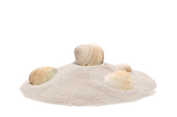 Fototapeta na wymiar heap of sand with seashell isolated on white