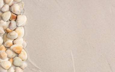 Obraz na płótnie Canvas seashells on the sand