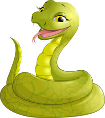 Fototapeta premium sly serpent smiling