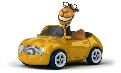Obraz premium Fun camel