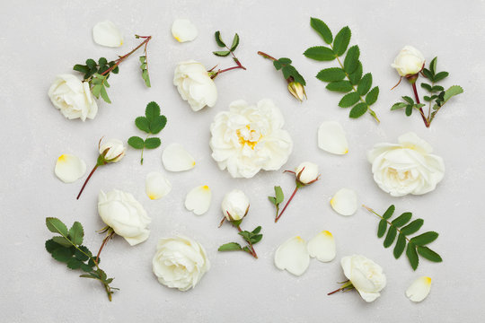 Fototapeta Białe kwiaty róży i zielone liście na jasnoszarym tle z góry, piękny kwiatowy wzór, kolor vintage, płaska stylizacja