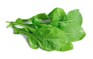 Arugula leaves