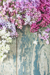 Lush multicolored bunches of lilac
