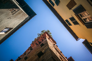 Lucca, Italy, Tuscany - obrazy, fototapety, plakaty