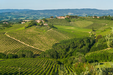 Fototapeta na wymiar San Gimignano, Tuscany