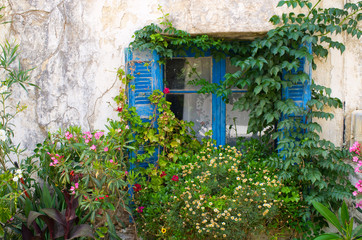 Blue window in natural flower frame