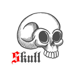 Monstrous human skull sketch symbol