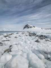 chunks of ice and shoreline