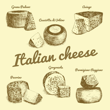 Vector illustrated Set #3 of Italian Cheese Menu. Illustrative sorts of cheese from Italy