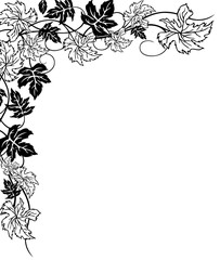 Fototapeta premium Große Weinranke, Blätterranke