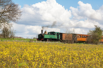 Locomotive à vapeur en campagne derrière un champ de colza, monument historique, Baie de Somme,...