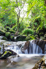 Fototapeta premium Anse des cascades, ile de la Réunion