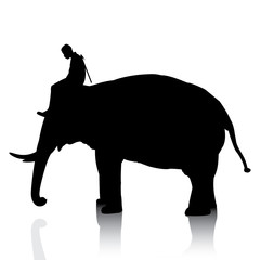 Naklejka premium Vector silhouettes of elephant and mahout young boy on white background