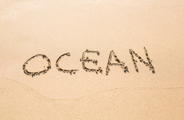 word OCEAN on the sand