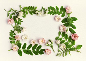 Floral framed background. Green plant leaves, little delicate flowers on paper backdrop. 
Spring blossom pattern.