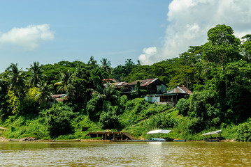 scenery of the forest from the river Sungai tembeling inside the forest of Taman Negara in Malaysia