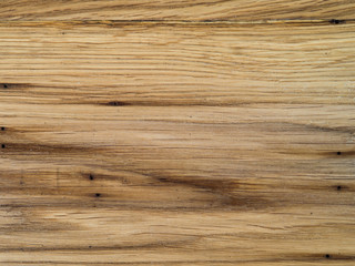 Fototapeta premium oak