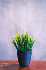Fake grass in black pots on wooden desk