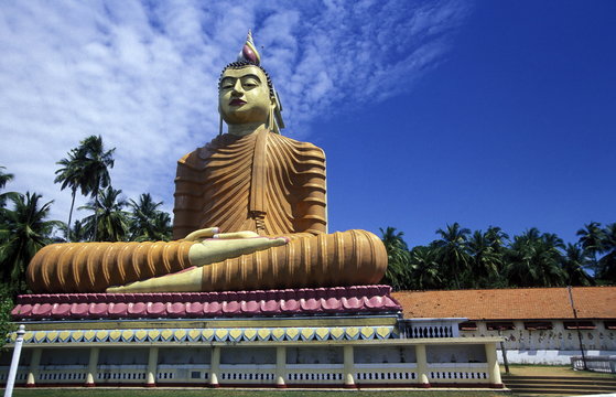 SRI LANKA WEHERAHENA BUDDHA TEMPLE
