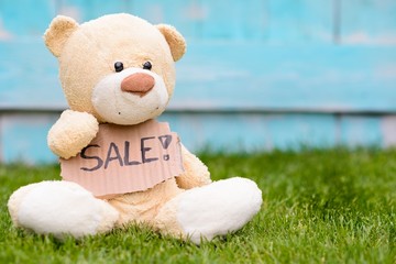 Teddy bear holding cardboard with information Sale