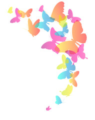 butterflies design