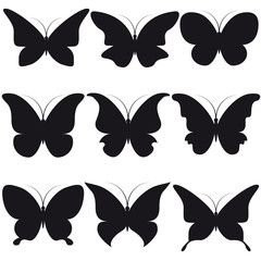 butterflies design