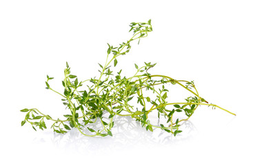 thyme on white background