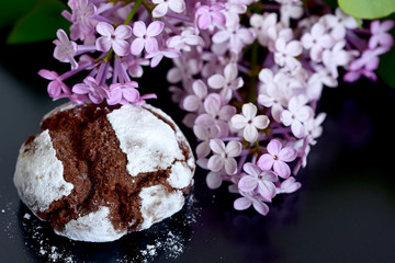 chocolate cakes in powdered sugar