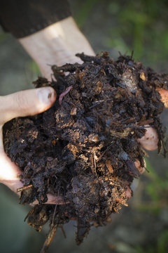 Hands holding compost, close-up