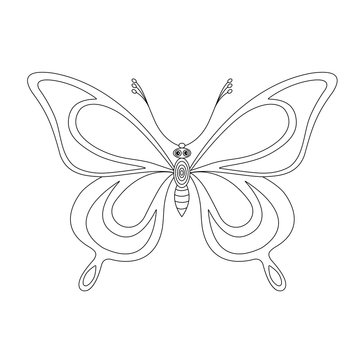 butterfly monochrome contours