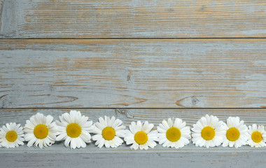 Empty copy space Background of blue painted wood with framework border line of field flowers, daisies