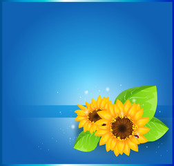 Sunflowers on blue background